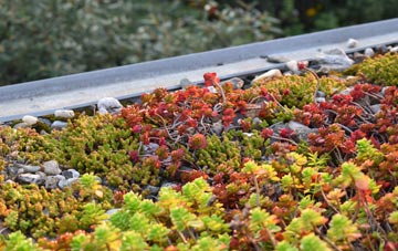 the cost of Sambourne green roof installation