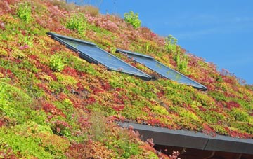 Sambourne living roof systems