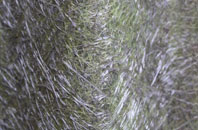 Sambourne fibreglass roof work